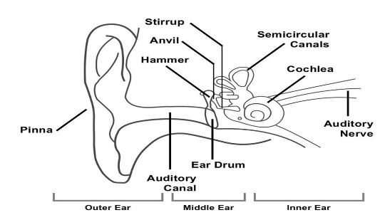 inner er